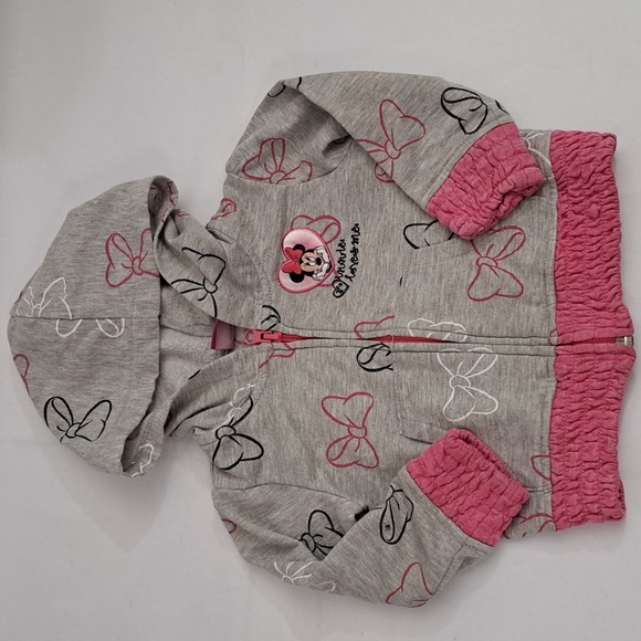 Minnie Mouse Pink and Grey Hoodie sweatshirt zip up size 2T - Picture 1 of 8